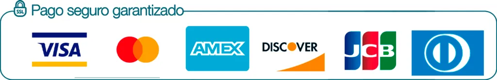 metodos de pago online invitado.mx 1 6 11zon