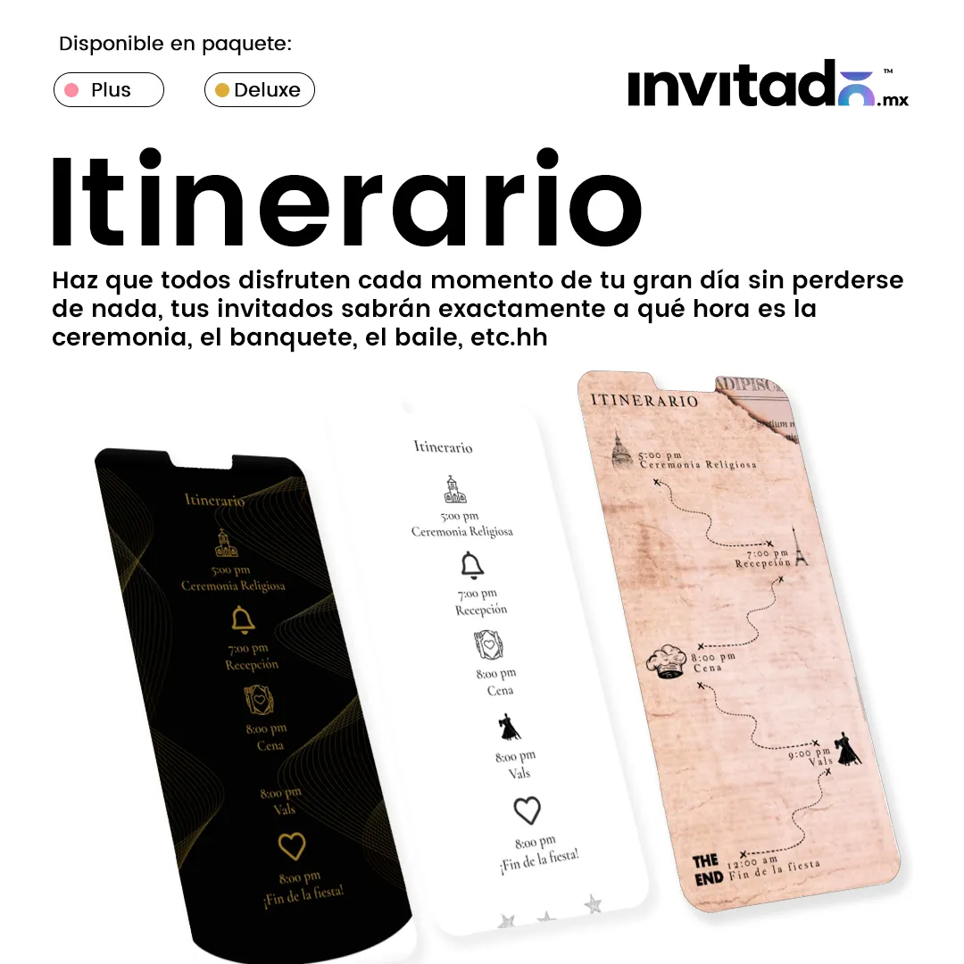 Sección XV