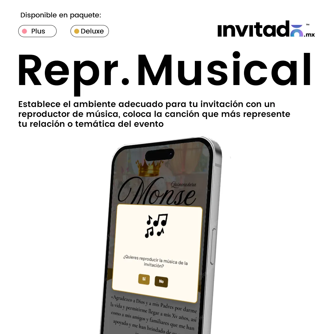Sección XV