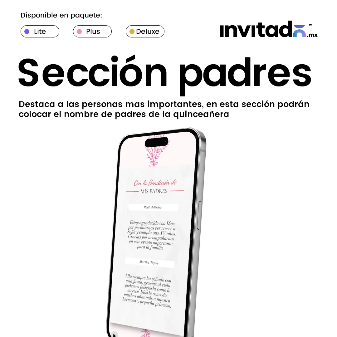 Sección XV